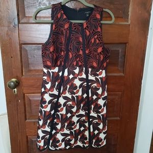 Ann Taylor Dress